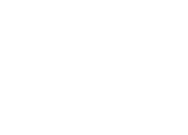Lotta Logo